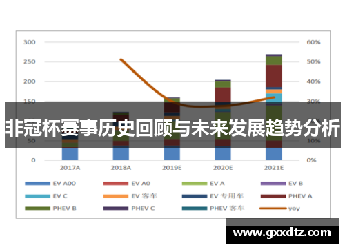 非冠杯赛事历史回顾与未来发展趋势分析